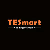 TESmart